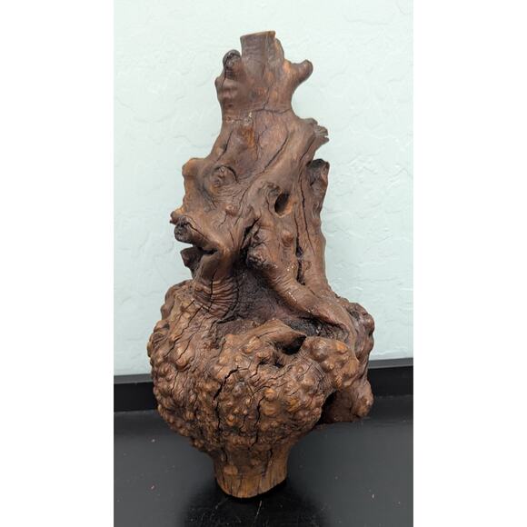 Burl Wood Hardwood From Arizona desert Manzanita Large Pen Sculpture Section - Picture 4 of 8